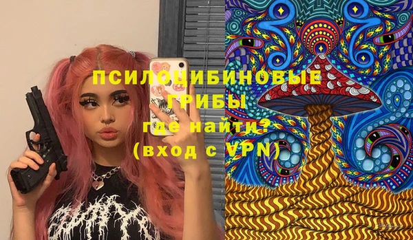 ECSTASY Липки
