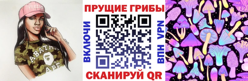 Псилоцибиновые грибы Magic Shrooms  Гусев 