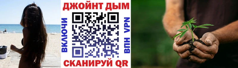 Каннабис гибрид  Гусев 